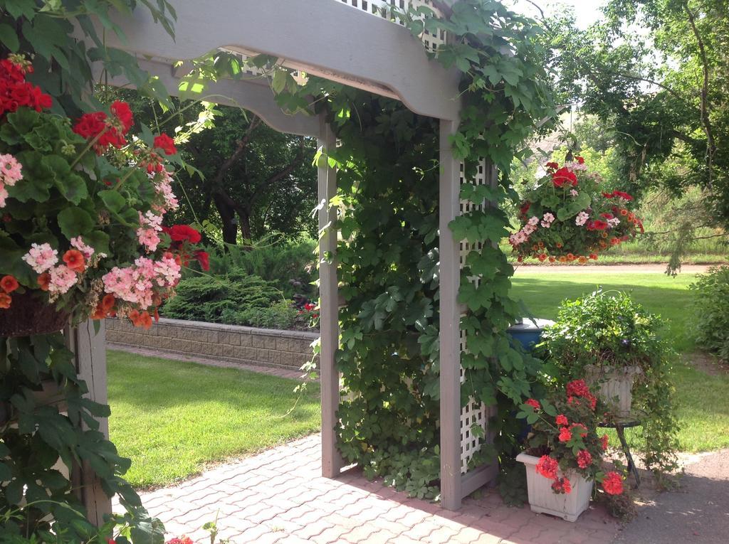 Mcdougall Lane Bed & Breakfast Drumheller Esterno foto