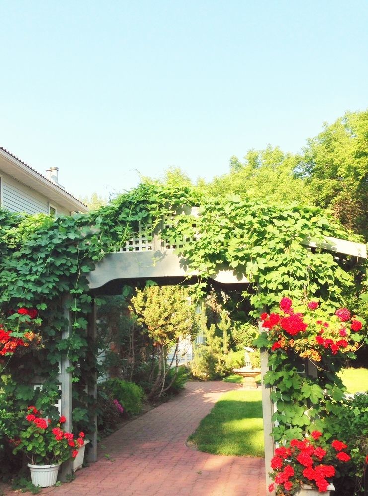 Mcdougall Lane Bed & Breakfast Drumheller Esterno foto